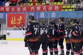 YABO-陇右黑豹队对阵海滨鲸鲨队，冰球季后赛失利，内线统治篮板——冲刺阶段不容有失的简单介绍